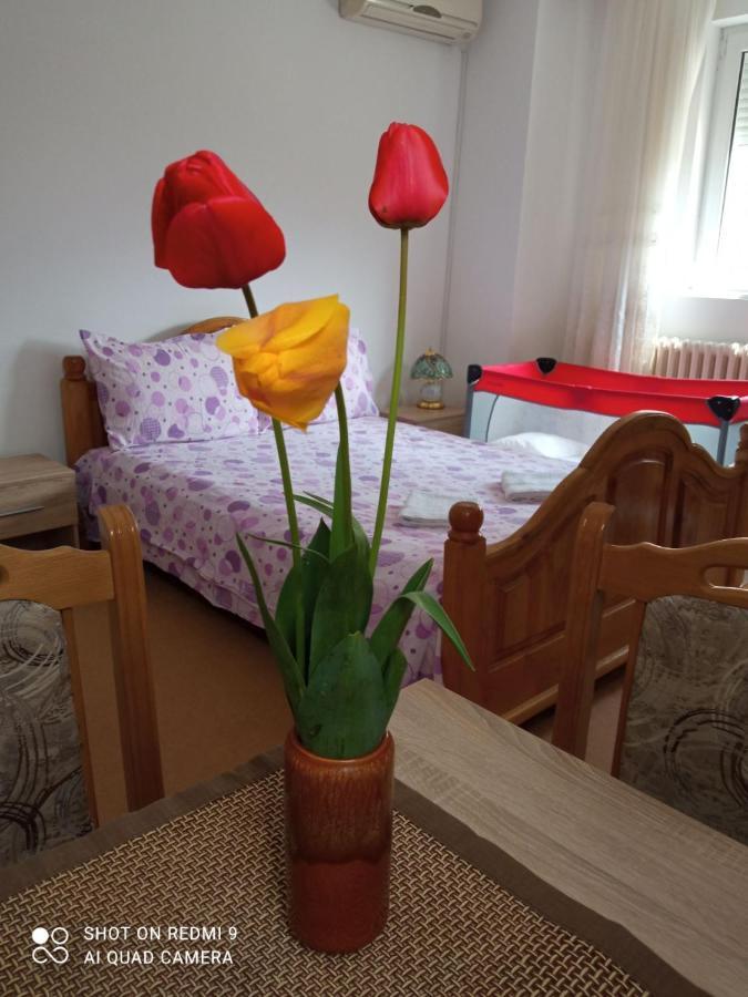 Apartman Andelina Vrnjačka Banja Екстериор снимка