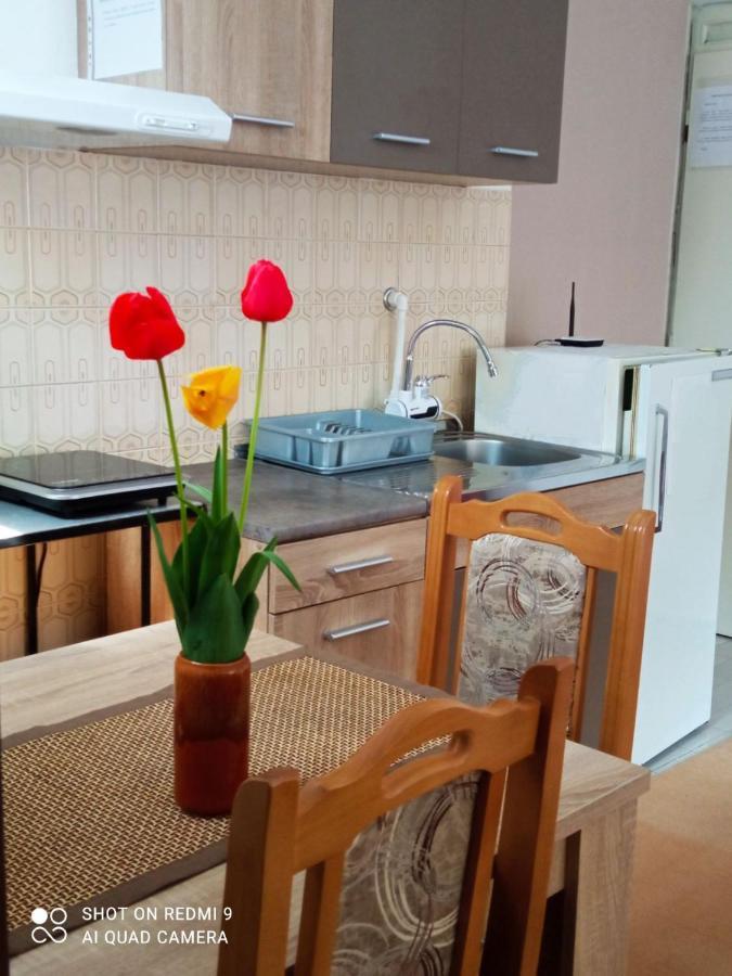 Apartman Andelina Vrnjačka Banja Екстериор снимка