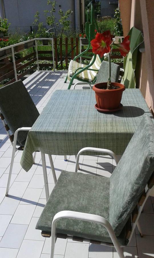 Apartman Andelina Vrnjačka Banja Екстериор снимка